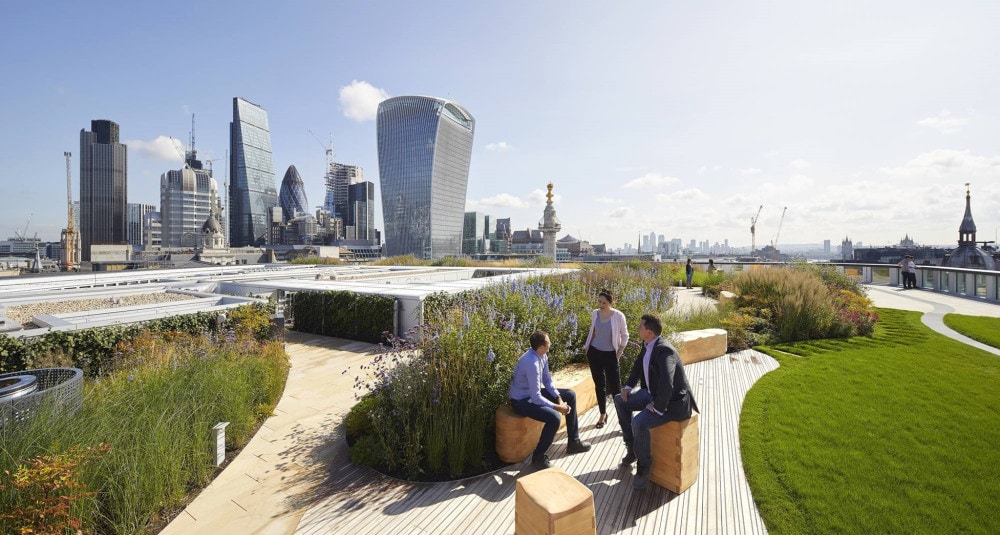 Begrünte Dachterrasse, London