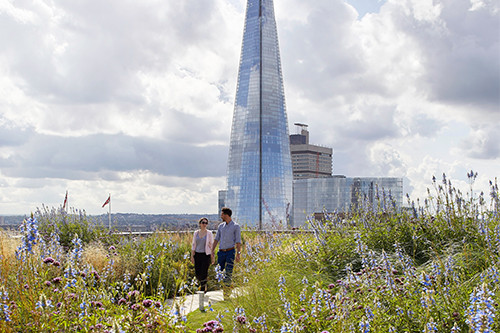 JRA_33-Central_London_-®Hufton+Crow_007